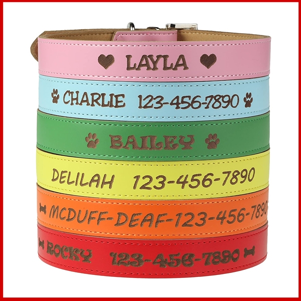 ID Tags, Collars, and Leashes